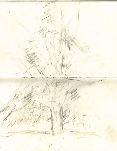 Excavated Charcoal Drawings