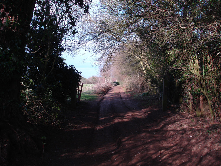 Goethean Observation: Old London Road