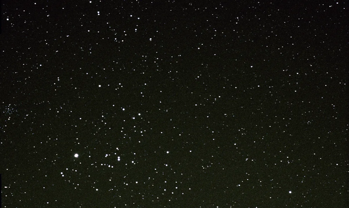 Stars