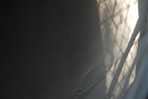 Shadows 3