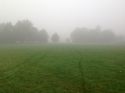 Landscape Therapy