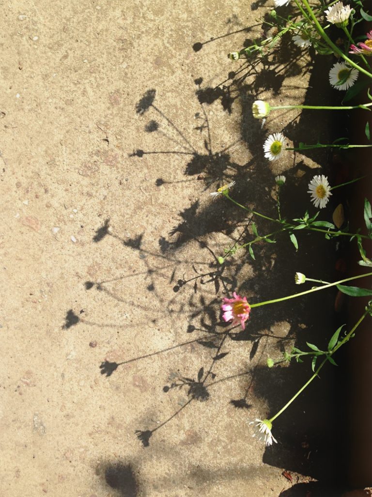 Pastoral Annotations