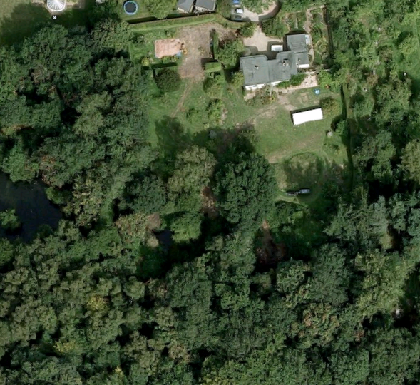 The Lawn and the Woods