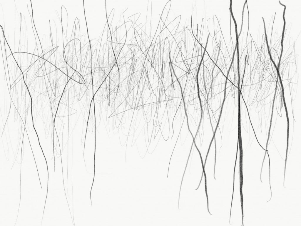 Latest Tree Drawings