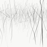 Latest Tree Drawings