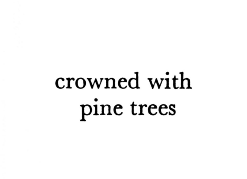 The Woods, Breathing