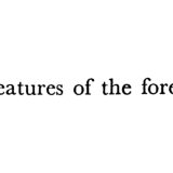 The Woods, Breathing