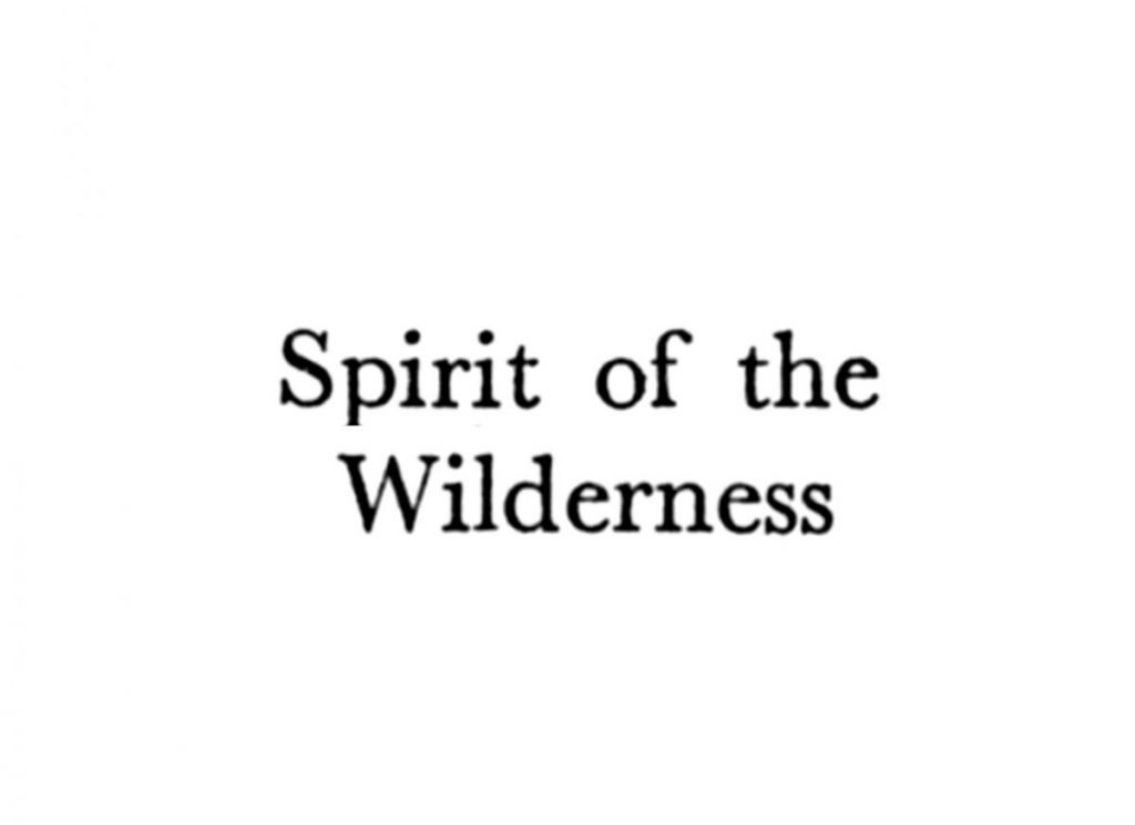 The Woods, Breathing (Texts)