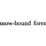 The Woods, Breathing (Texts)