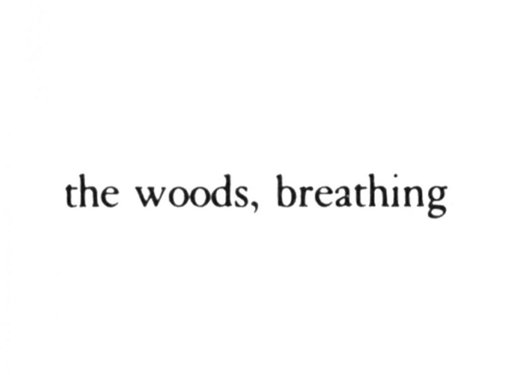 The Woods, Breathing (Texts)