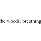 The Woods, Breathing (Texts)