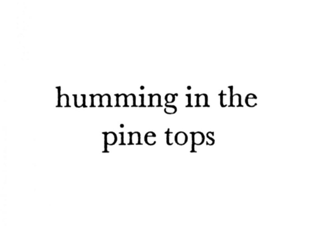 The Woods, Breathing (Texts)