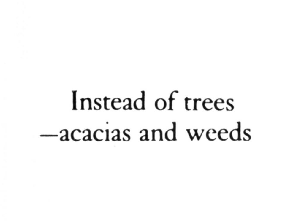 The Woods, Breathing