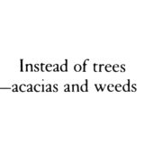 The Woods, Breathing