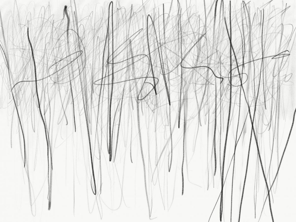 Somewhere Between Writing and Trees