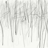 Somewhere Between Writing and Trees