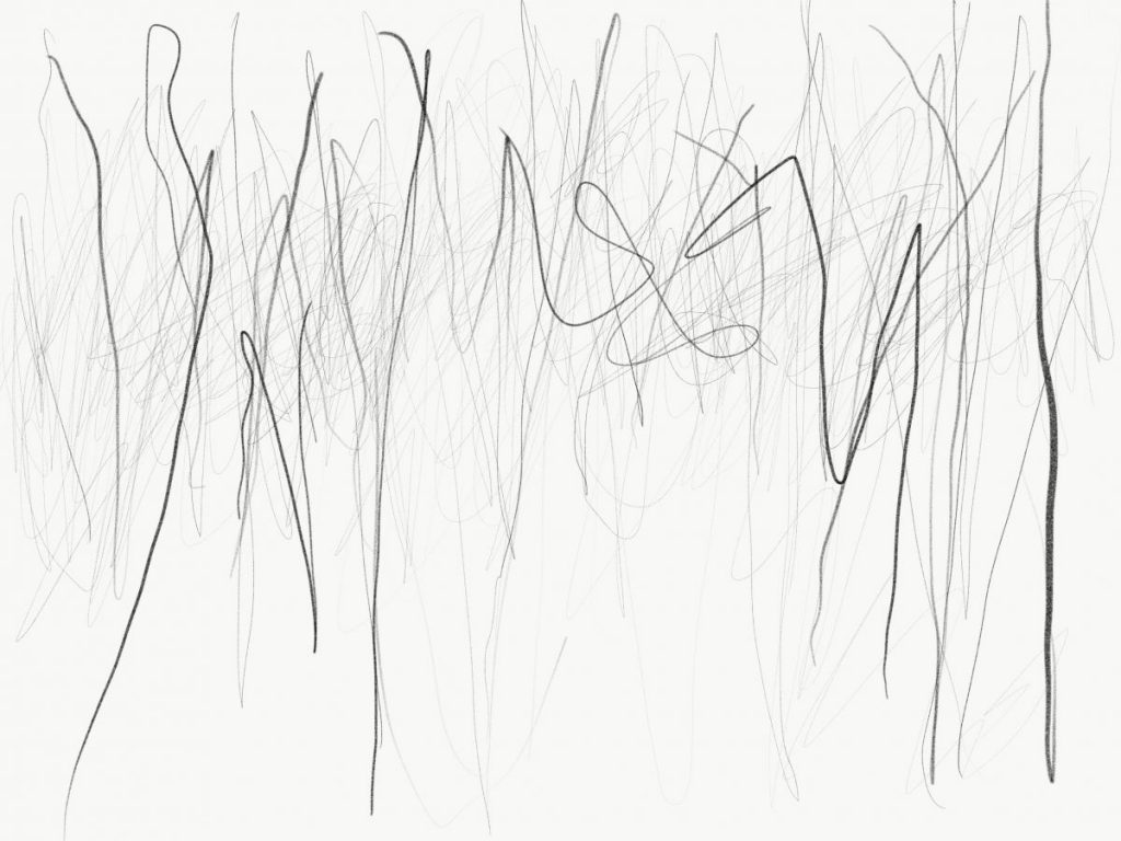 Somewhere Between Writing and Trees