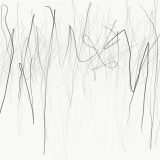 Somewhere Between Writing and Trees