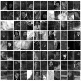 A Well Staring at the Sky