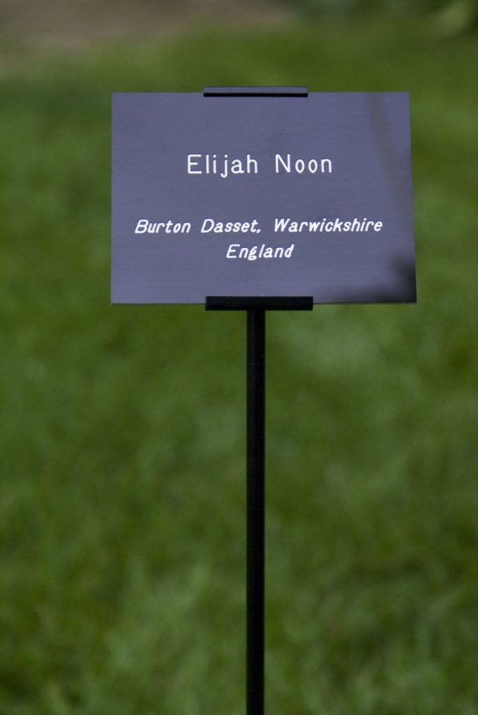 Deadman's Walk (Elijah Noon)