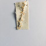 ‘Missded’ 2, Token 20