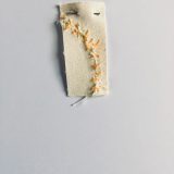 ‘Missded’ 2, Token 23