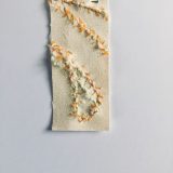 ‘Missded’ 2, Token 24