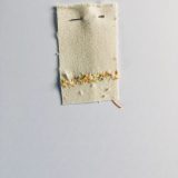 ‘Missded’ 2, Token 28