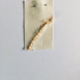 ‘Missded’ 2, Token 34