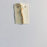 ‘Missded’ 2, Token 6
