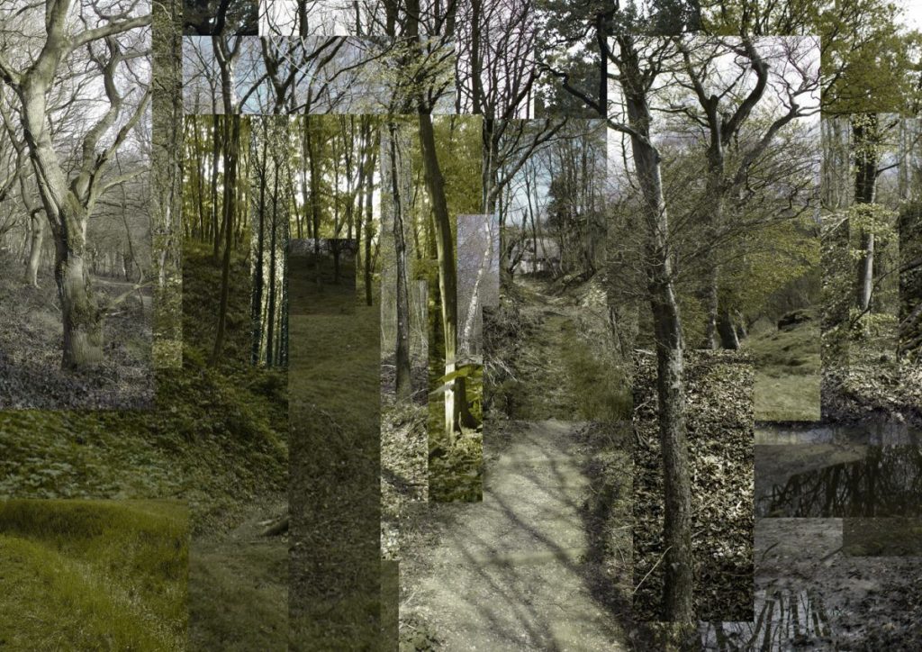 The Place That's Always There (Trees)