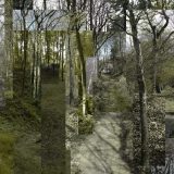 The Place That's Always There (Trees)