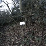 The Woods, Breathing