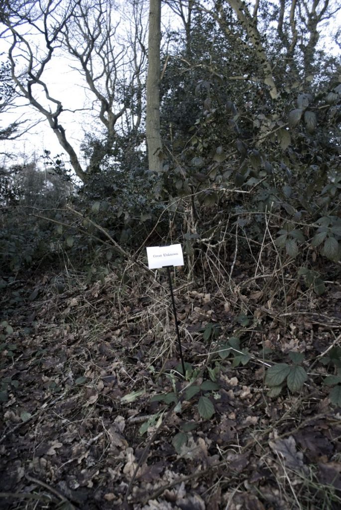 The Woods, Breathing