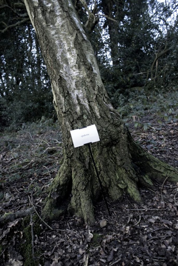 The Woods, Breathing