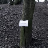 The Woods, Breathing