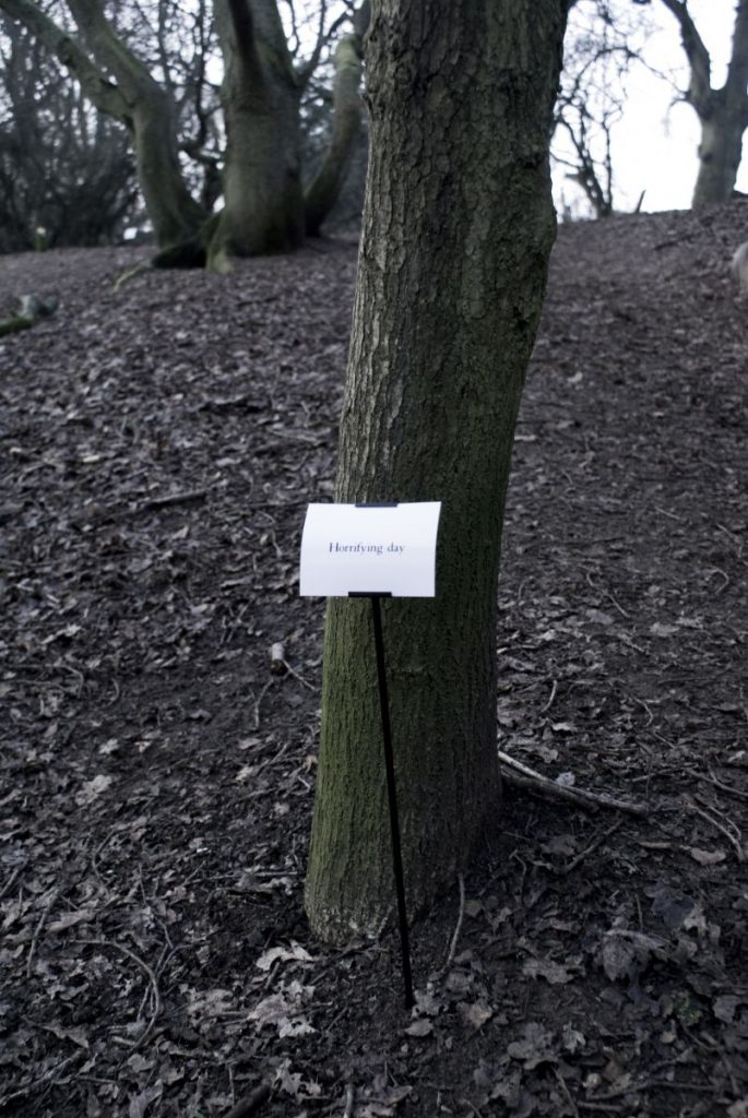 The Woods, Breathing