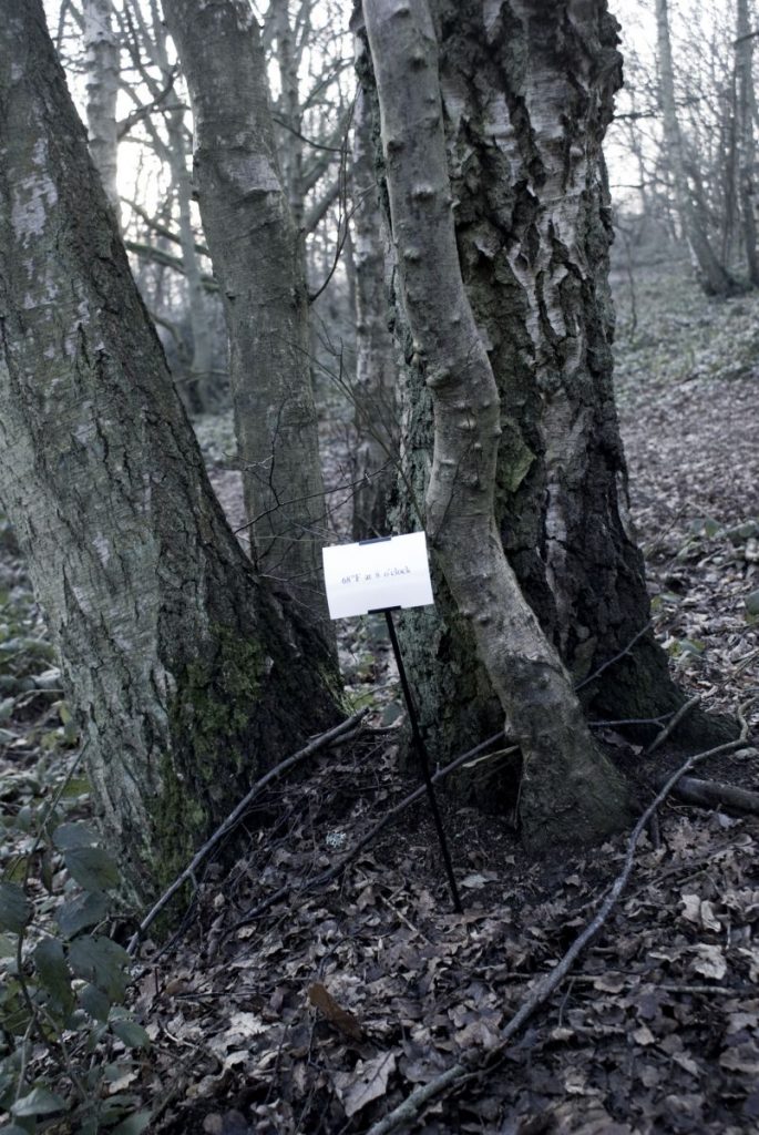 The Woods, Breathing