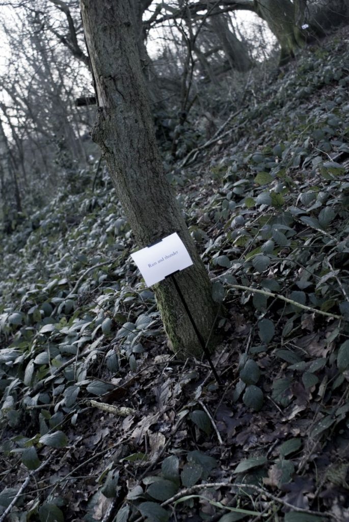 The Woods, Breathing