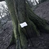 The Woods, Breathing