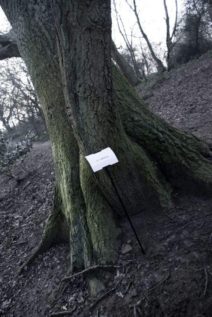 The Woods, Breathing