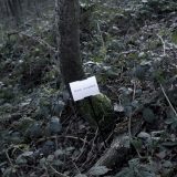 The Woods, Breathing