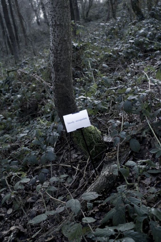 The Woods, Breathing