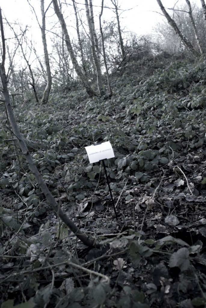 The Woods, Breathing