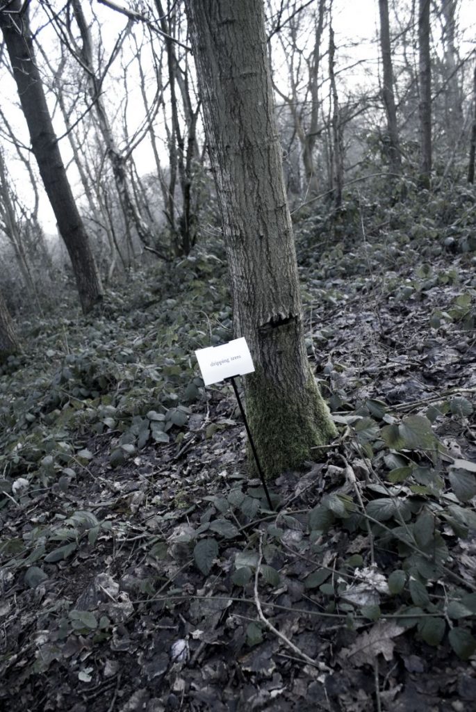 The Woods, Breathing