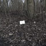 The Woods, Breathing