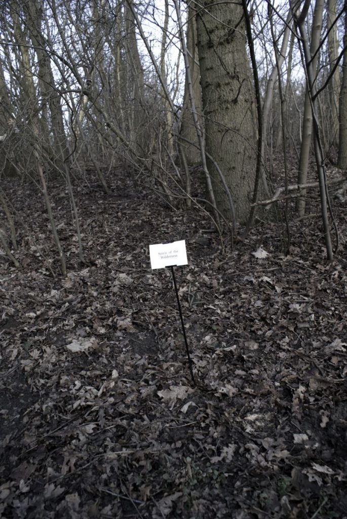 The Woods, Breathing