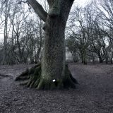 The Woods, Breathing