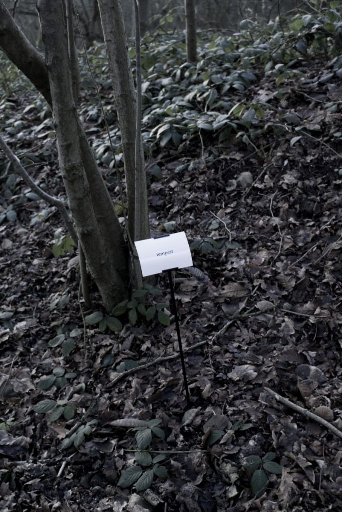 The Woods, Breathing