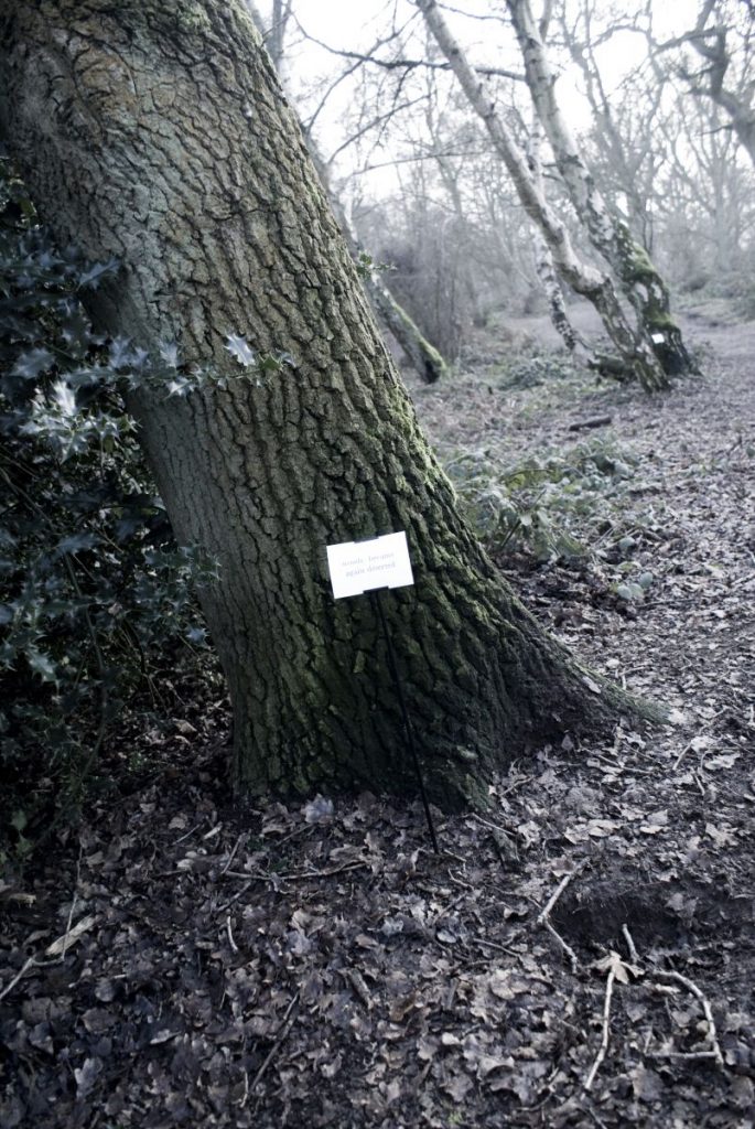 The Woods, Breathing